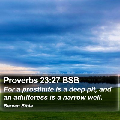 Proverbs 23:27 BSB Bible Verse Image