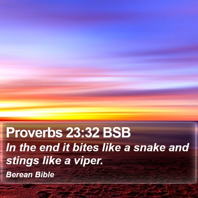 Proverbs 23:32 BSB Bible Verse Image