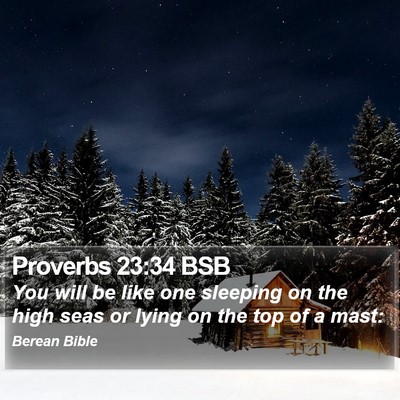 Proverbs 23:34 BSB Bible Verse Image
