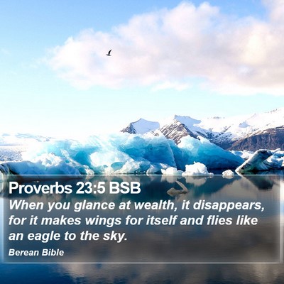 Proverbs 23:5 BSB Bible Verse Image
