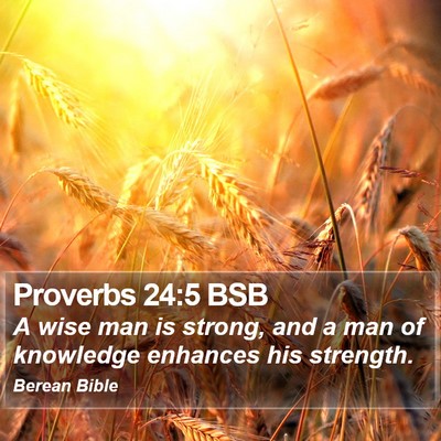 Proverbs 24:5 BSB Bible Verse Image