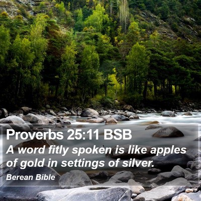 Proverbs 25:11 BSB Bible Verse Image