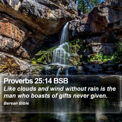 Proverbs 25:14 BSB Bible Verse Image