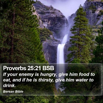 Proverbs 25:21 BSB Bible Verse Image