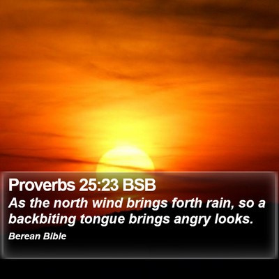 Proverbs 25:23 BSB Bible Verse Image