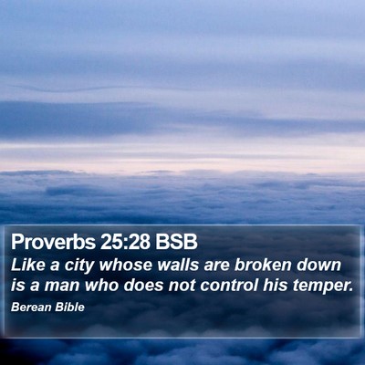 Proverbs 25:28 BSB Bible Verse Image