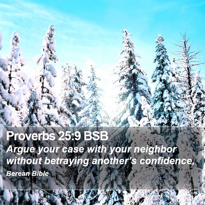 Proverbs 25:9 BSB Bible Verse Image