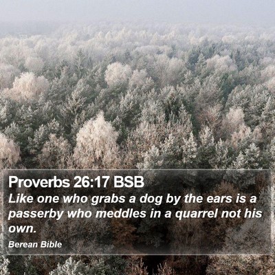 Proverbs 26:17 BSB Bible Verse Image