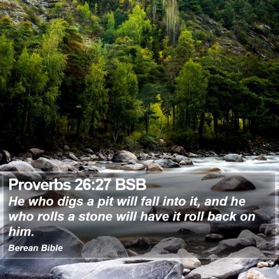 Proverbs 26:27 BSB Bible Verse Image