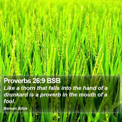 Proverbs 26:9 BSB Bible Verse Image