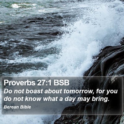 Proverbs 27:1 BSB Bible Verse Image