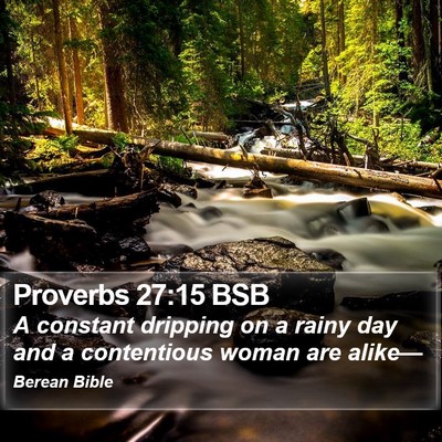 Proverbs 27:15 BSB Bible Verse Image