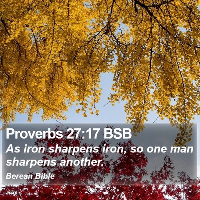 Proverbs 27:17 BSB Bible Verse Image