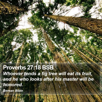 Proverbs 27:18 BSB Bible Verse Image