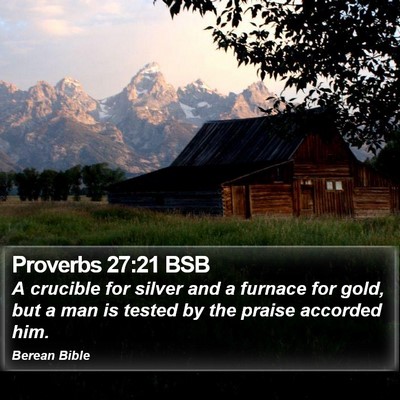 Proverbs 27:21 BSB Bible Verse Image