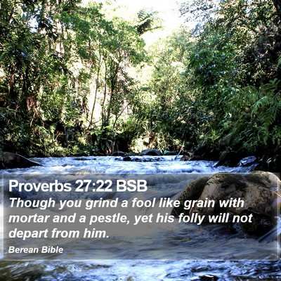 Proverbs 27:22 BSB Bible Verse Image