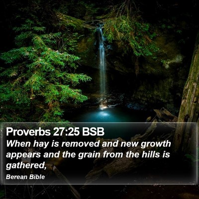 Proverbs 27:25 BSB Bible Verse Image