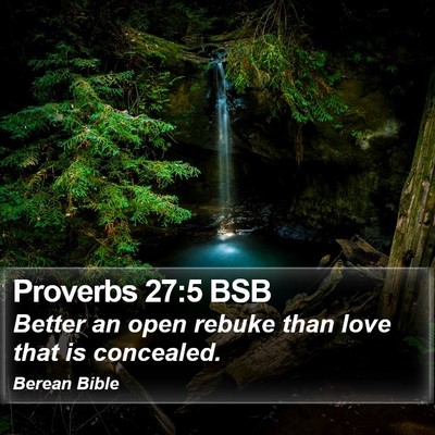 Proverbs 27:5 BSB Bible Verse Image