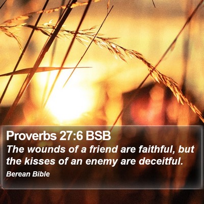 Proverbs 27:6 BSB Bible Verse Image