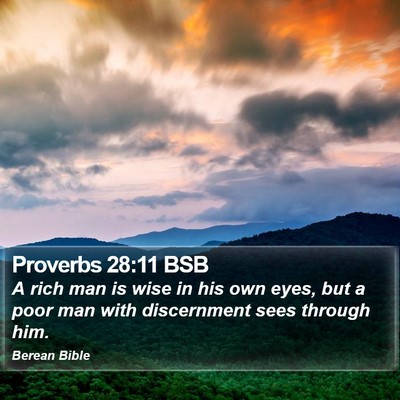 Proverbs 28:11 BSB Bible Verse Image