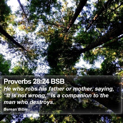 Proverbs 28:24 BSB Bible Verse Image