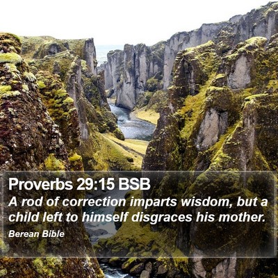 Proverbs 29:15 BSB Bible Verse Image