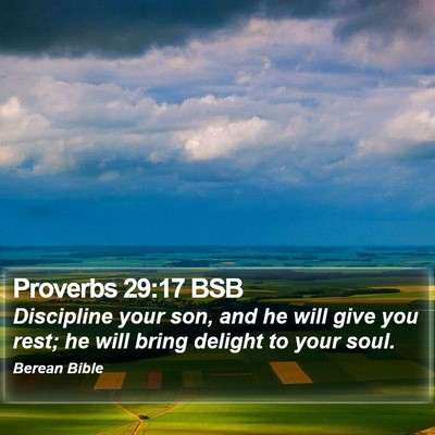 Proverbs 29:17 BSB Bible Verse Image