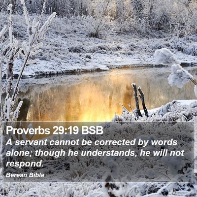 Proverbs 29:19 BSB Bible Verse Image