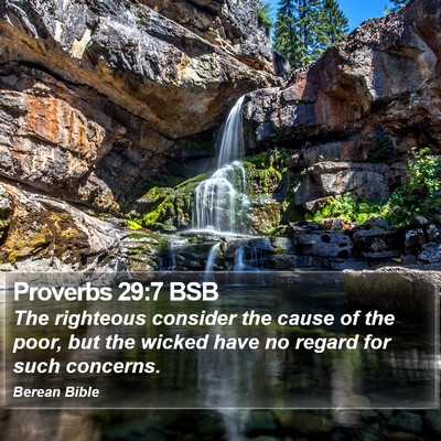 Proverbs 29:7 BSB Bible Verse Image