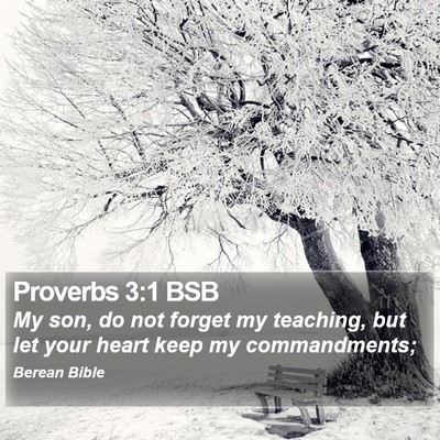 Proverbs 3:1 BSB Bible Verse Image