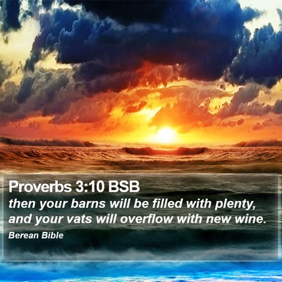 Proverbs 3:10 BSB Bible Verse Image