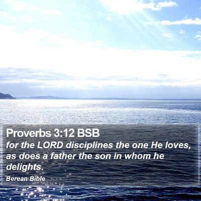Proverbs 3:12 BSB Bible Verse Image