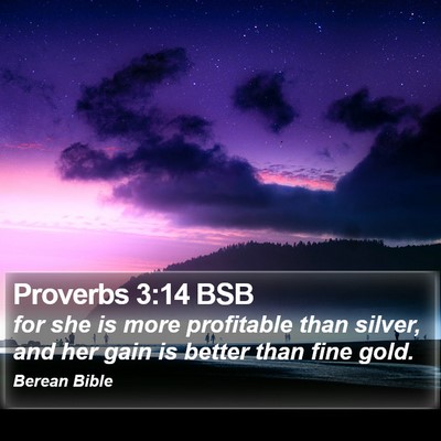 Proverbs 3:14 BSB Bible Verse Image