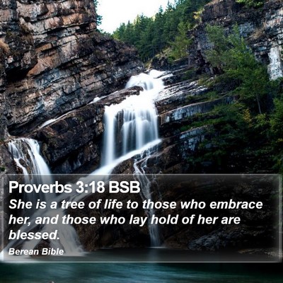 Proverbs 3:18 BSB Bible Verse Image