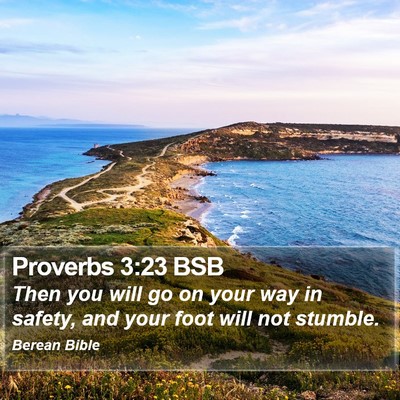 Proverbs 3:23 BSB Bible Verse Image