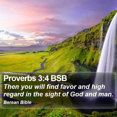Proverbs 3:4 BSB Bible Verse Image