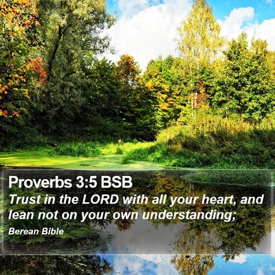 Proverbs 3:5 BSB Bible Verse Image