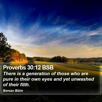 Proverbs 30:12 BSB Bible Verse Image