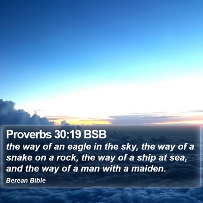 Proverbs 30:19 BSB Bible Verse Image