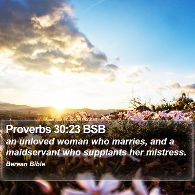 Proverbs 30:23 BSB Bible Verse Image
