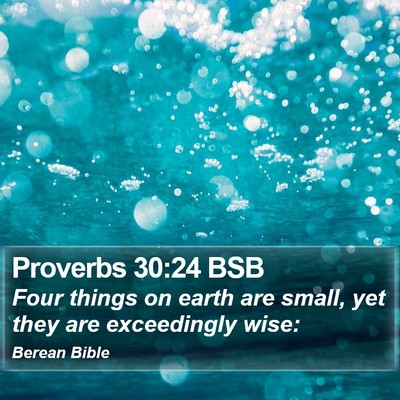 Proverbs 30:24 BSB Bible Verse Image