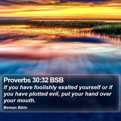 Proverbs 30:32 BSB Bible Verse Image