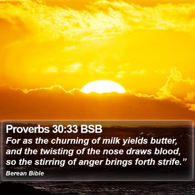 Proverbs 30:33 BSB Bible Verse Image