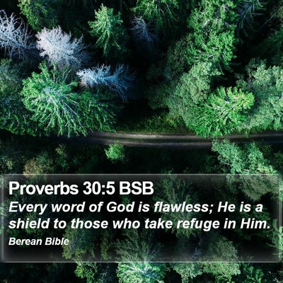 Proverbs 30:5 BSB Bible Verse Image