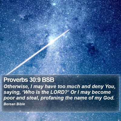 Proverbs 30:9 BSB Bible Verse Image