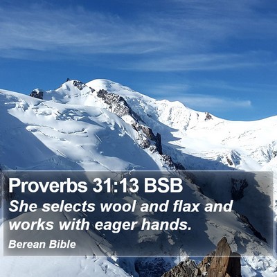 Proverbs 31:13 BSB Bible Verse Image