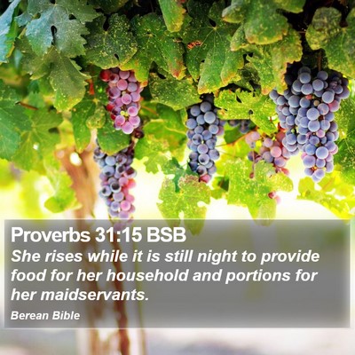 Proverbs 31:15 BSB Bible Verse Image