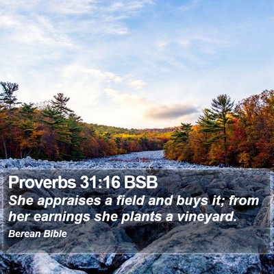 Proverbs 31:16 BSB Bible Verse Image