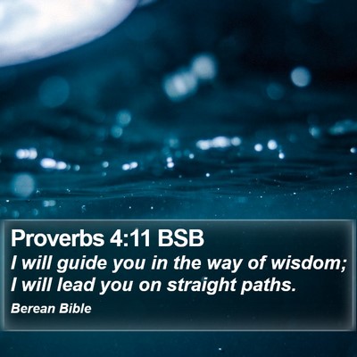 Proverbs 4:11 BSB Bible Verse Image