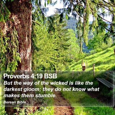 Proverbs 4:19 BSB Bible Verse Image